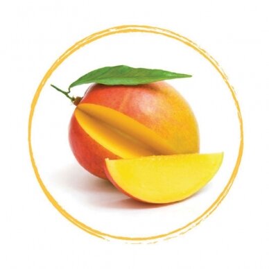 Mango vaisių tyrė 100% (1 kg)