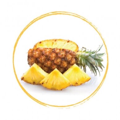 Ananasų tyrė 90% (1 kg)